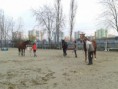 /album/working-from-the-ground/a2013-11-26-12-17-24-jpg/